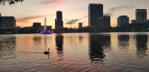 The Orlando Morning: Pride Baristas, Lunar New Year Renewal, and Terminal Trials